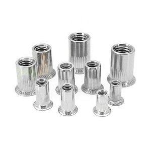 Catalog for Rivet Nuts(2).pdf